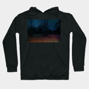 Mystical sparkly night Hoodie